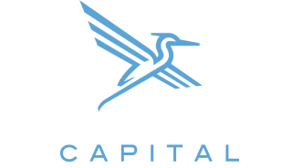 blue heron